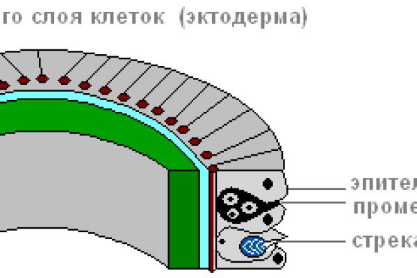 Кракен зайти