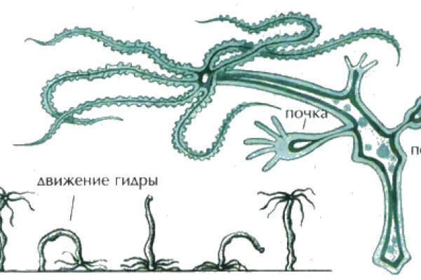 Kraken актуальные ссылки официальный сайт