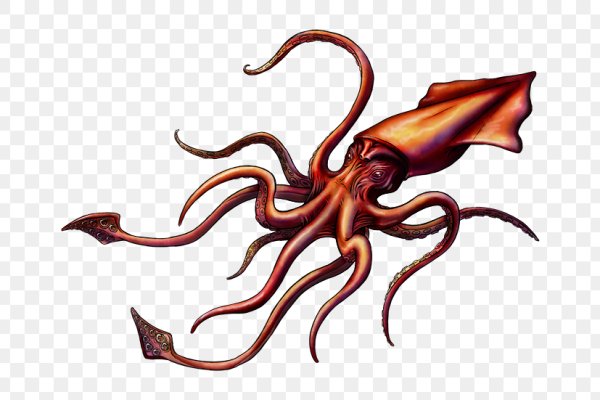 Kraken marketing lab