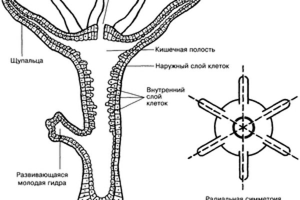 Кракен заблокировали