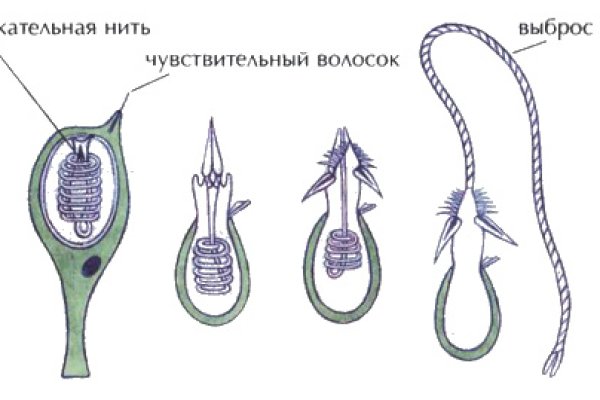Кракен 2krn
